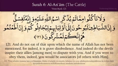 Quran: 6. Surat AL-An'am (The Cattle): Arabic to English Translation HD (Part 03)