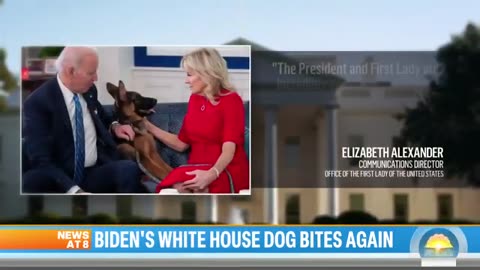 Biden’s dog Commander involved in another biting incident