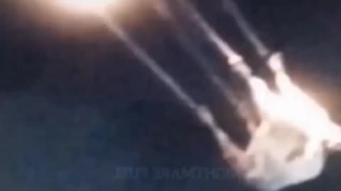 video of aliens flying in the animal's yard