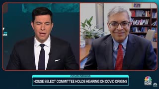 Stanford Prof. Jay Bhattacharya on NBC talking about Tony Fauci and Francis Collins controlling science and the COVID-19 narrative