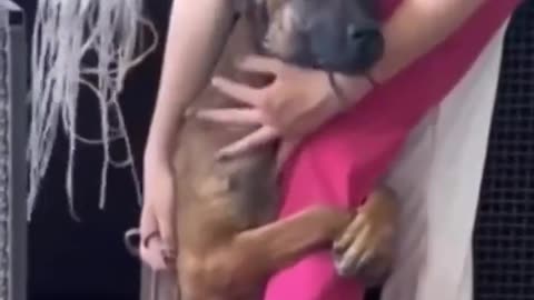 Dog's heartwarming reaction to being rescued.. ♥️