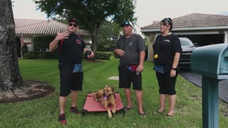 OUT OF CONTROL DOG RETURNS HOME AFTER TRAINING!