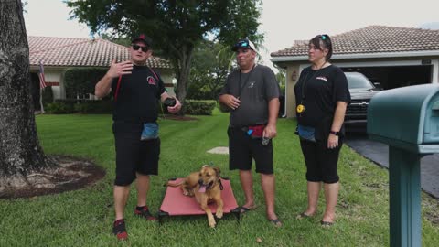 OUT OF CONTROL DOG RETURNS HOME AFTER TRAINING!