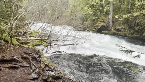 Hiking Sahalie Falls & Koosah Falls Loop – Central Oregon – 4K
