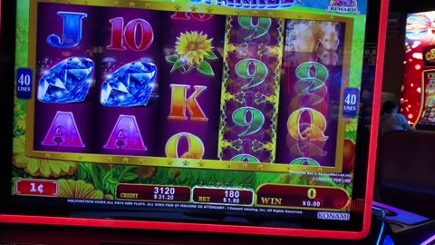Rolling the Dice and Coming Up Short: My Unfortunate Casino Adventure