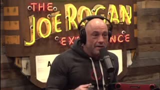 "It Was F*cking Bananas!... Over a Minute of People Screaming at the Top of Their Lungs!" - Joe Rogan and Bo Nickal on Trump Entering the Arena at MMA Fight