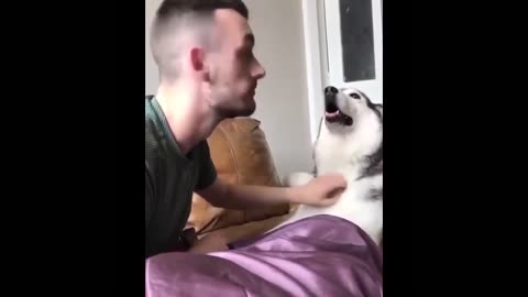 petscomrade 😂😂: Funniest Cats and Dogs Videos Compilation#6😂😂