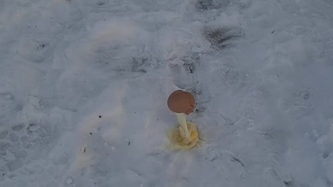 Cold Enough Temps to Freeze a Cracked Egg in North Dakota