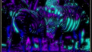 Some Zebras Got Mixed Up In my Space Art