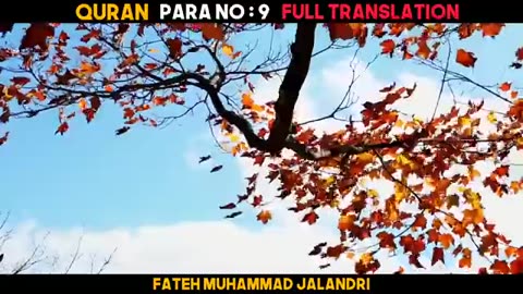 Quran Para 9 With Urdu Translation