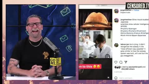 Gavin McInnes - Ryan does an asian impersonation