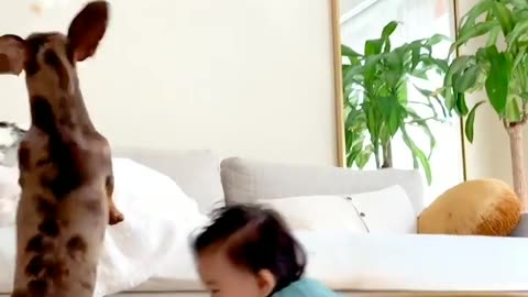 Cutest Kid and Dog Duo: You'll Be Smiling All Day After Watching This Video!