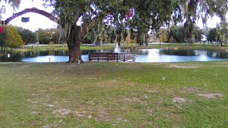 Lake Lillian belleview Florida