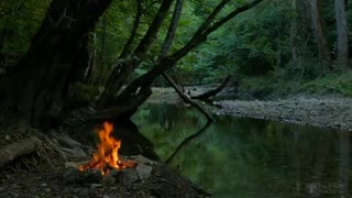 relaxing sounds of a campfire by the river