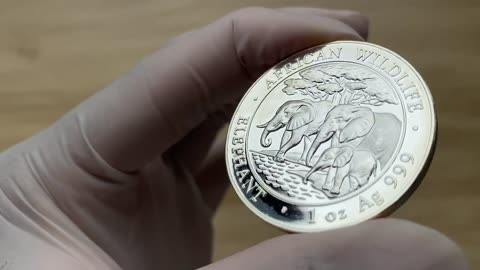 2013 Bavarian State Mint, African Wildlife Series: Somalia Elephant 1oz Silver BU Coin