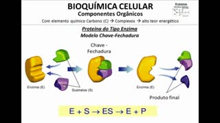 Citologia: Bioquímica Celular --> Proteínas - MinhaEscolaWeb