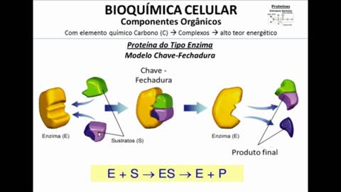 Citologia: Bioquímica Celular --> Proteínas - MinhaEscolaWeb