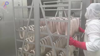 Sausages Mass Production Process. Korean Factory Wins German Sausage Competition