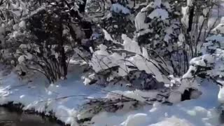 Snowy slopes of the Crimean mountains