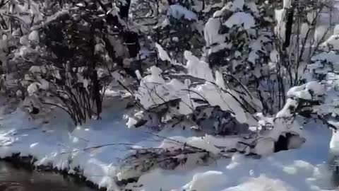 Snowy slopes of the Crimean mountains