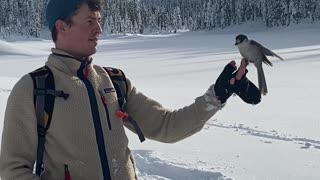 Snowshoeing and Catching Birds!