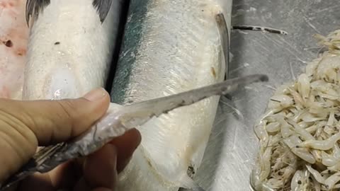 Ocean Big Kakila Fish Live Video In Fish Market#shorts