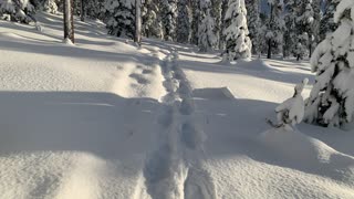 First Time Using Snowshoes This Season – Central Oregon – Vista Butte Sno-Park – 4K