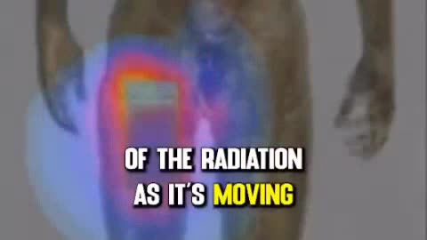 Cell phone radiation in your pocket