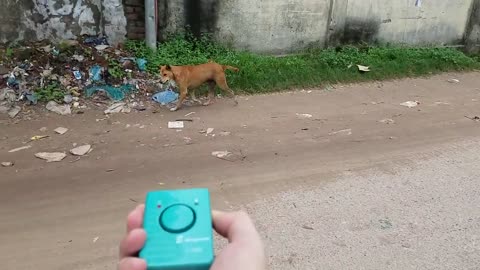 Dog Repeller