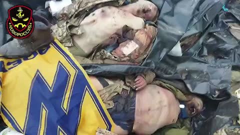 JUSTICE - Ukraine Nazi's who have been DESTROYED from this Earth by Russian Troops