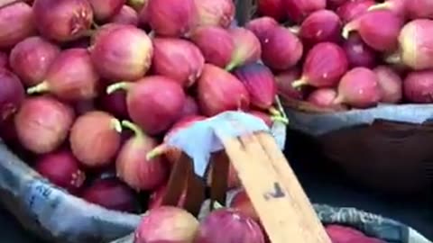 Harvest Figs fruit #fruitgarden #farming #harvesting