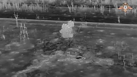 FPV drones with thermal imaging cameras destroy the enemy's manpower.