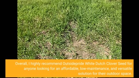 Customer Reviews: Outsidepride White Dutch Clover Seed for Erosion Control, Ground Cover, Lawn...