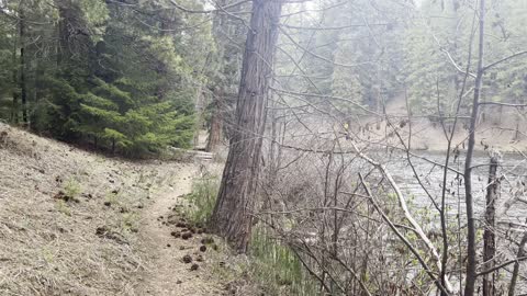 Hiking to a Peninsula Section Surrounded by Metolius River – Central Oregon – 4K