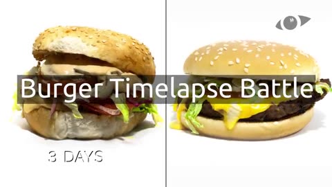 Burger Timelapse Battle