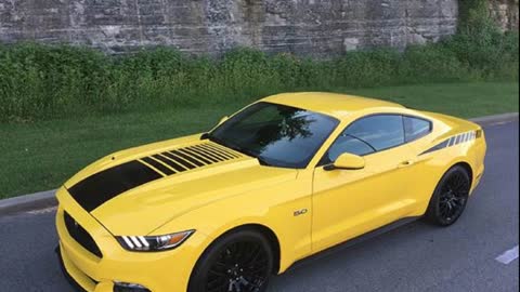Mustang Stripe examples installed on 2015 UP Mustang GT Ecoboost and GT350