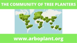 Arboplant