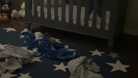 Toddler fearless as he climbs out of crib