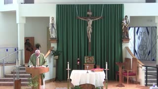 Homily for the 12th Sunday in Ordinary Time "A"