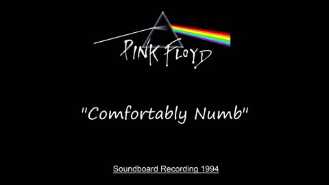 Pink Floyd - Comfortably Numb (Live in Torino, Italy 1994) Soundboard