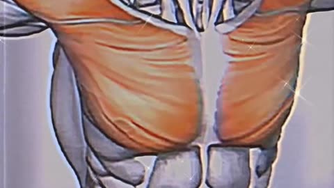 This is best video you are chest and muscles very helpful