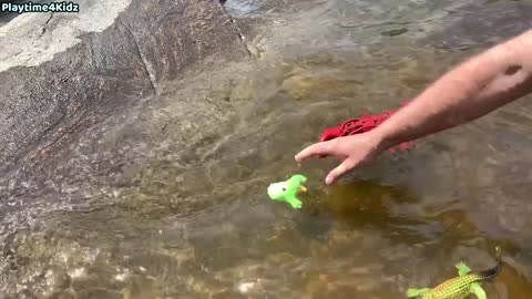 Sea Animal Toys at the Summer Shore