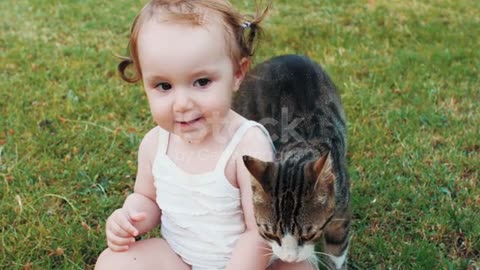 Baby playing with cat
