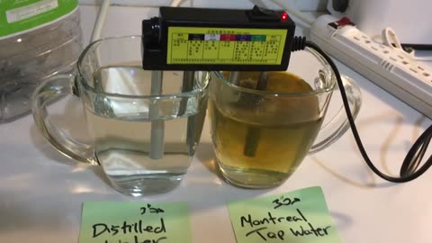 Tap water vs. distilled water test Cote St Luc, Montreal. What is that black stuff! Lead?