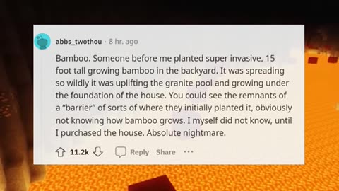 When buying a house whats something you thought was minor but has become the bane of your existence