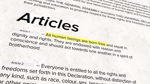 The Universal Declaration of Human Rights (UDHR)