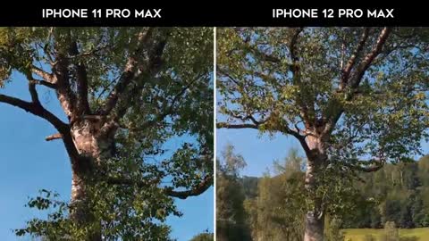 IPhone 12 Pro Max _ Why you should buy it as a PRO CAMERA | IT'S REALLY GOOD PHONE