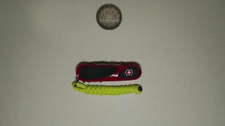 Victorinox EvoGrip s17