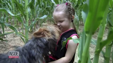These Dogs Became Heroes and Saved Kids' Lives