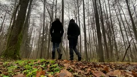 Stranded in the freezing darkness of a Polish forest - BBC News